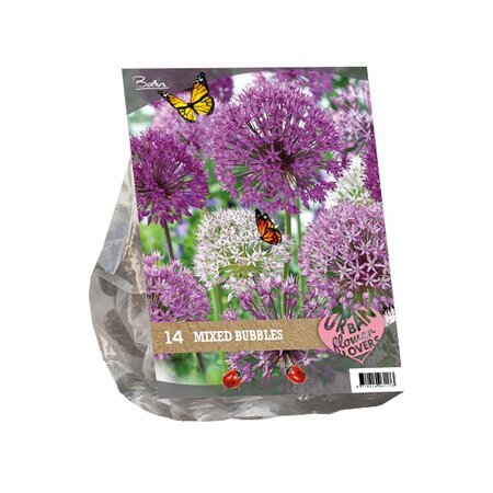 Urban flowers - mixed bubbles 14st