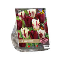 Urban flowers - perfection 15st