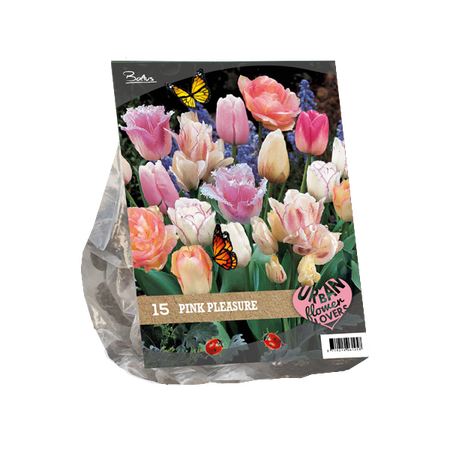 Urban flowers - pink pleasure 15st