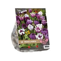 Urban flowers - proud & purple 18st