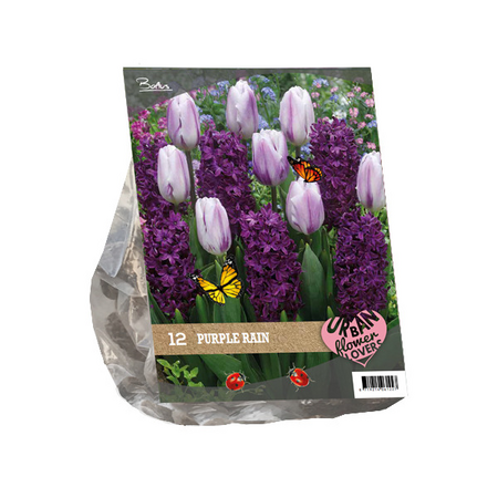 Urban flowers - purple rain 12st