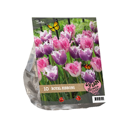 Urban flowers - royal ribbons 10st