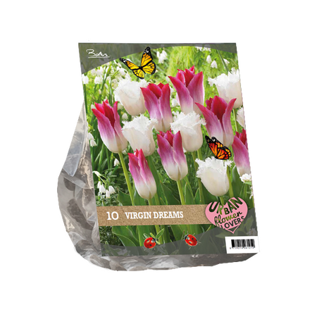 Urban flowers - virgin dreams 10st