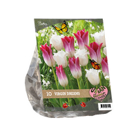 Urban flowers - virgin dreams 10st