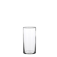 Vaas carly d12 h25cm transparant