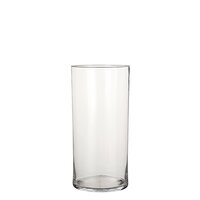 Vaas dani d19 h40cm transparant