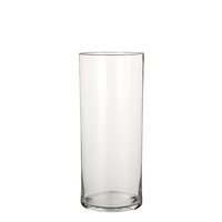 Vaas dani d19 h48cm transparant