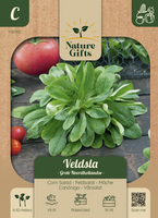 Veldsla hollandse breedblad per 9m