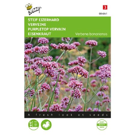 Verbena stijf ijzerhard 1g - afbeelding 1
