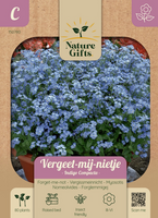 Vergeet-mij-nietje indigo compacta 801st