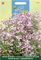 Vergeet-mij-nietje roze 0.3gram - afbeelding 5