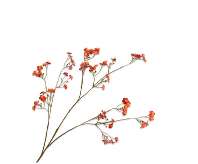 Vergeetmeniettak l76cm rood/oranje