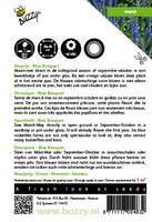 Veronica spicata blue rocket 25zaden - afbeelding 2