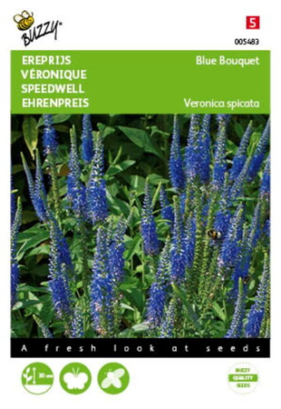 Veronica spicata blue rocket 25zaden - afbeelding 1