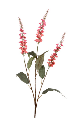 Veronicasteel x3 l95cm roze