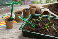 Verspeenset grn - afbeelding 4