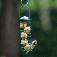 Vetbollen met insectenvet 6st