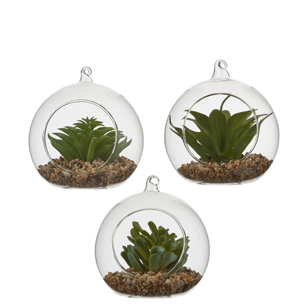 Vetplant in pot d12 h12.5cm groen assorti per stuk (Zijde-plant)