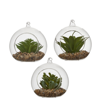 Vetplant in pot d12 h12.5cm groen assorti per stuk (Zijde-plant)