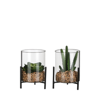 Vetplant in pot d13 h15cm groen (Zijde-plant)