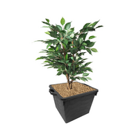 Victoria quadro 4. jp cont. 40l