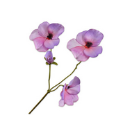 Viooltak l63cm lavendel