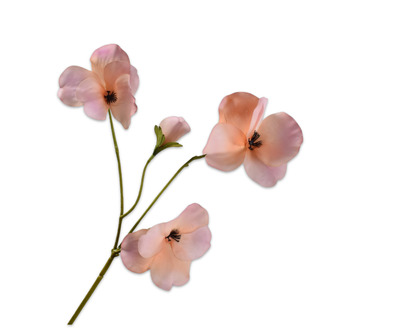 Viooltak l63cm mauve