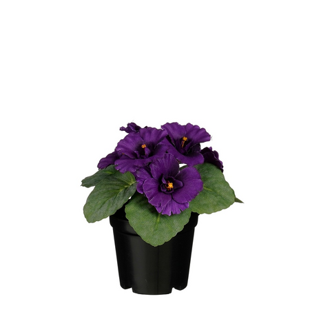 Viooltje in pot d8h11cm blauw