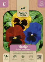 Viooltje zwitserse reuzen mengsel 60st