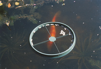 Visvoederring kunststof d24cm - afbeelding 2