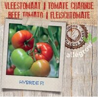 Vleestomaat Hybride F1 - afbeelding 2