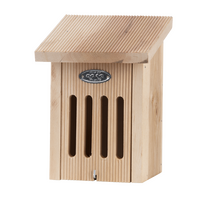 Vlinderkast in cadeaudoos l16b16h22