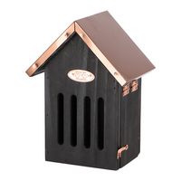 Vlinderkast zwart koper