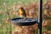 Voederstation - afbeelding 2