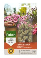 Voedingskegels t&b planten 10st