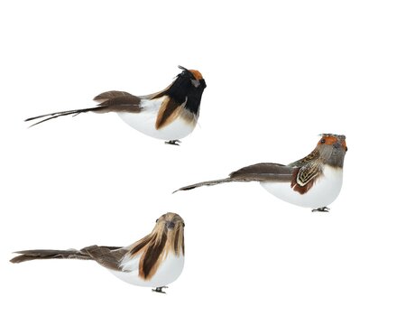 Vogel foam l5b13h6cm a3