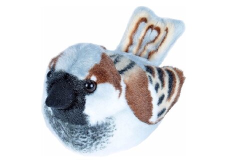 Vogel met geluid - huismus