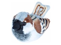 Vogel met geluid - huismus