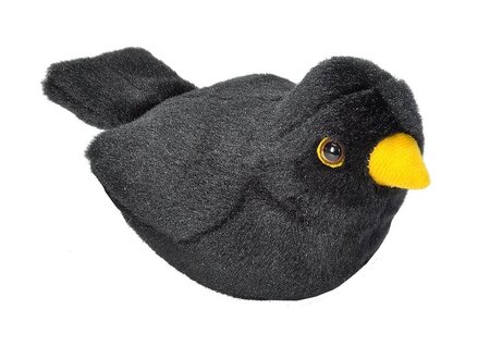 Vogel met geluid - merel