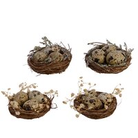 Vogelnest rtn l8b8h4cm ntrl a2 2st