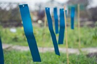 Vogelschrikstrips 15 stuks - afbeelding 2