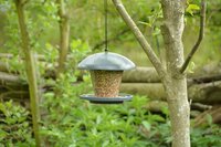 Vogelvoerdersilo plastic L19 B2 H16 CM - afbeelding 2