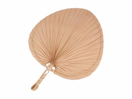 Waaier palmblad l48b36cm naturel