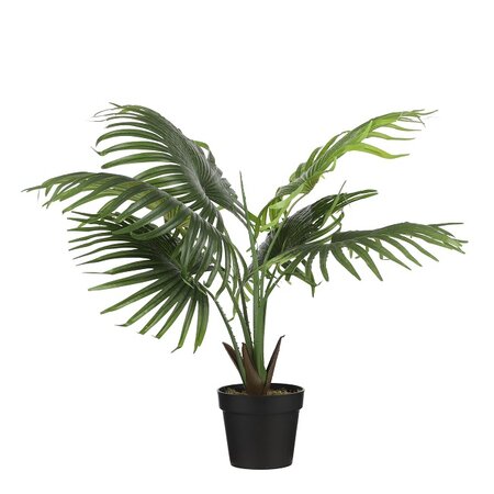 Waaierpalm in pot d80 h80cm groen (Zijde-plant)