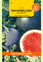Watermeloen red star f1 hybr 0.5g - afbeelding 1
