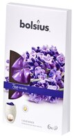 Waxmelts 6st ts lavendel