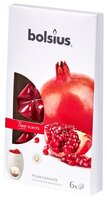 Waxmelts 6st ts pomegranate