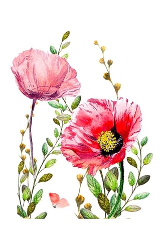 Wenskaart grow klaproos