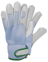 Werkhandschoenen geitenleer blauw l