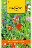 Wildbloemenmengsel eenjarig 10gram - afbeelding 1